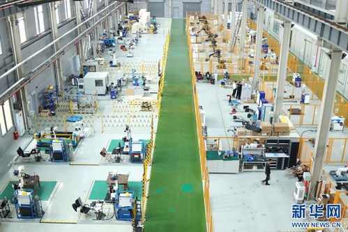 重慶兩江新區(qū) 國(guó)產(chǎn)工業(yè)機(jī)器人以技術(shù)開發(fā)為制造業(yè)“強(qiáng)筋健骨”